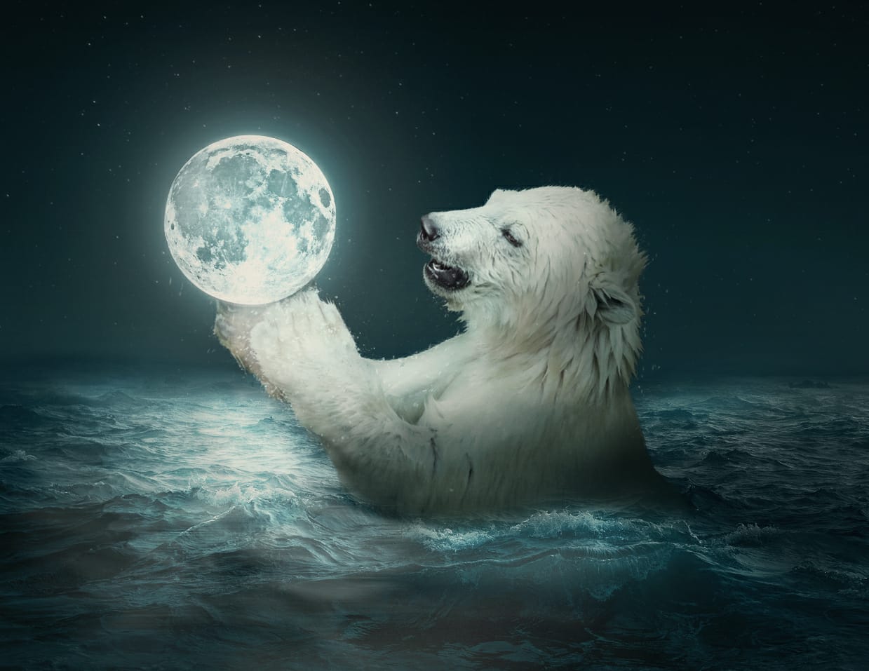 Surreale Manipulation